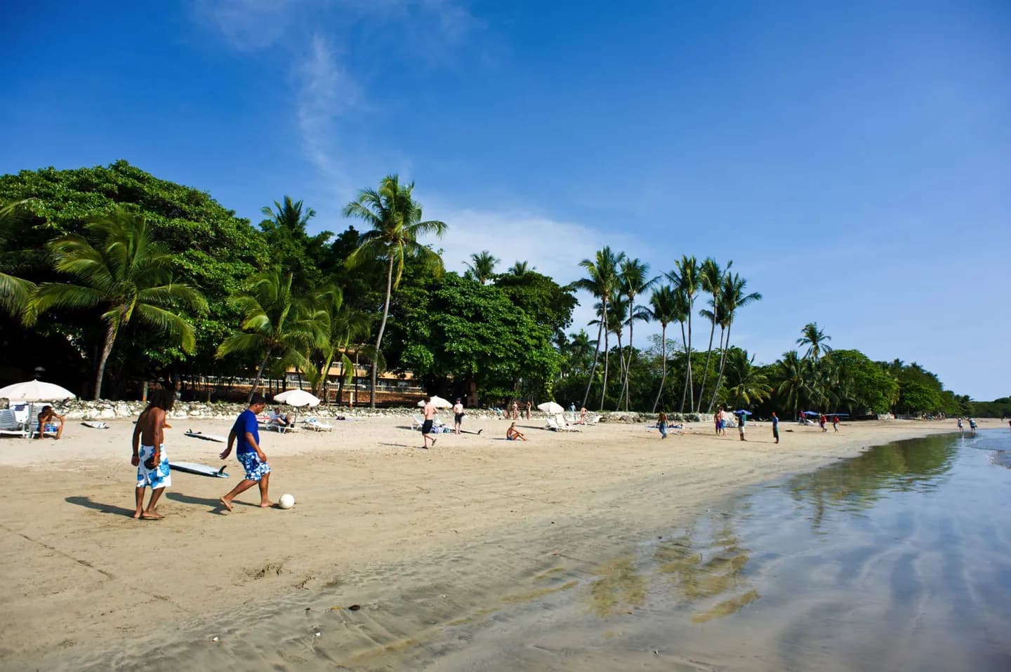 Tamarindo · 2