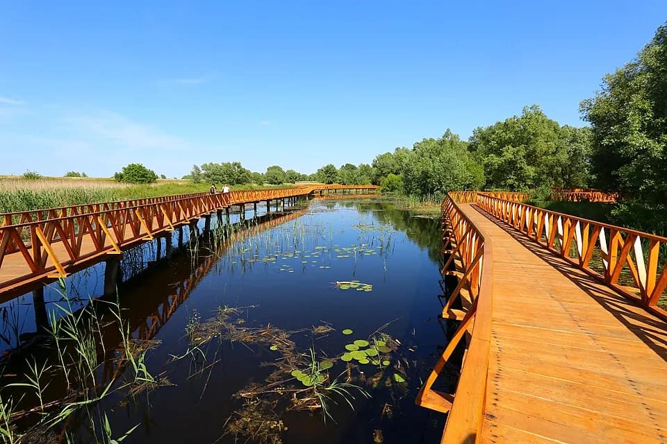 Parc naturel de Kopački Rit