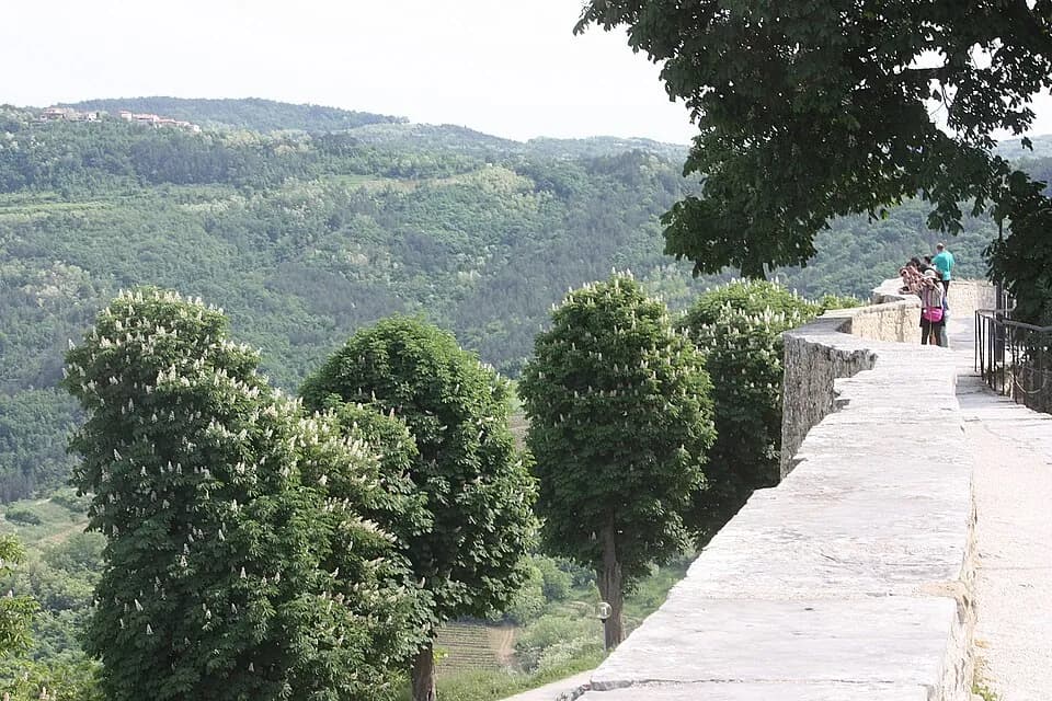 Muralhas da Cidade de Motovun