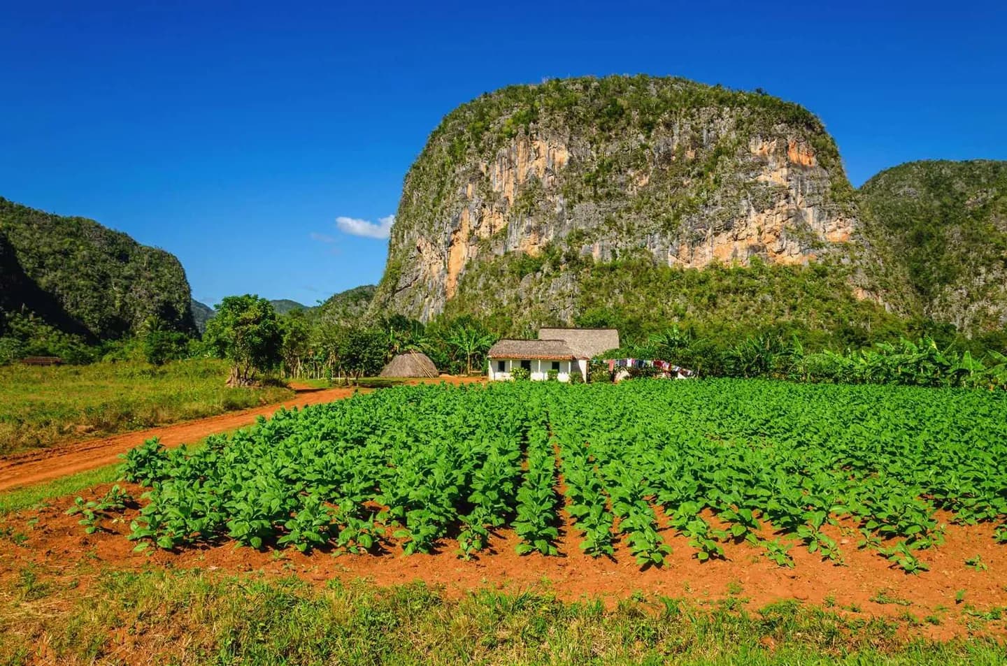 Pinar del Río · 2