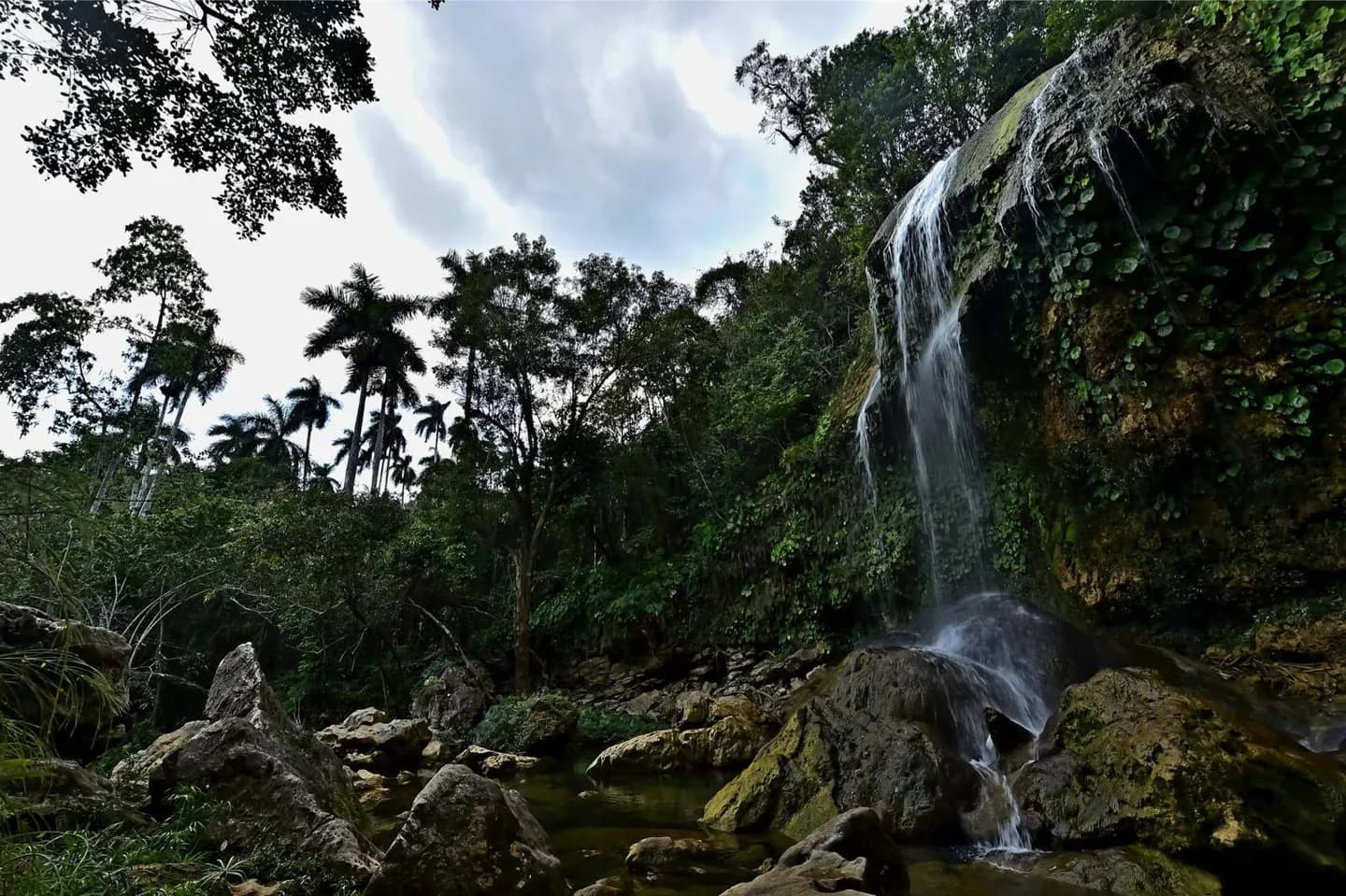 Sierra del Rosario · 2