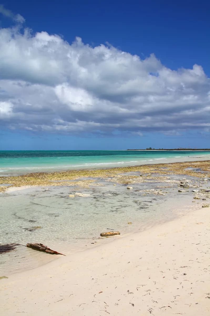 Cayo Coco
