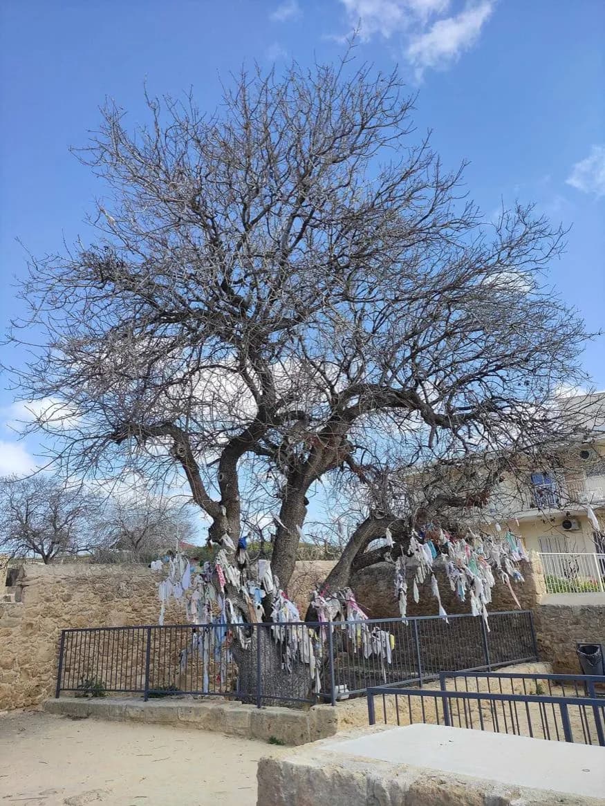 Agia Solomoni Catacomb
