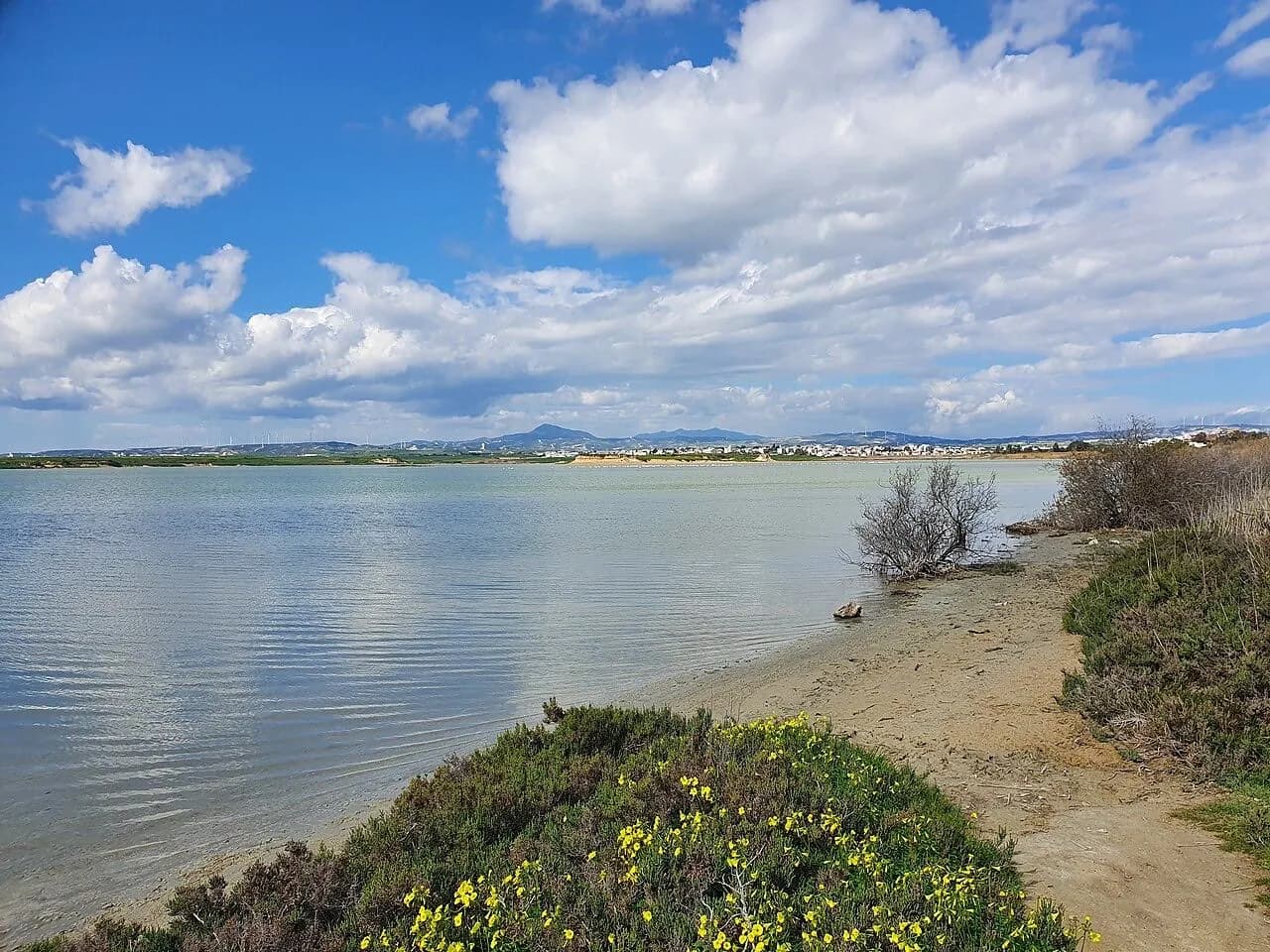 Larnaka Salzsee