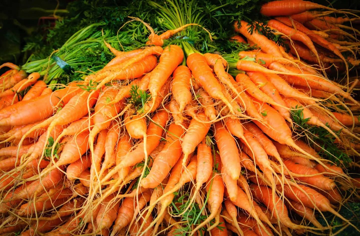 Marché fermier de Dallas