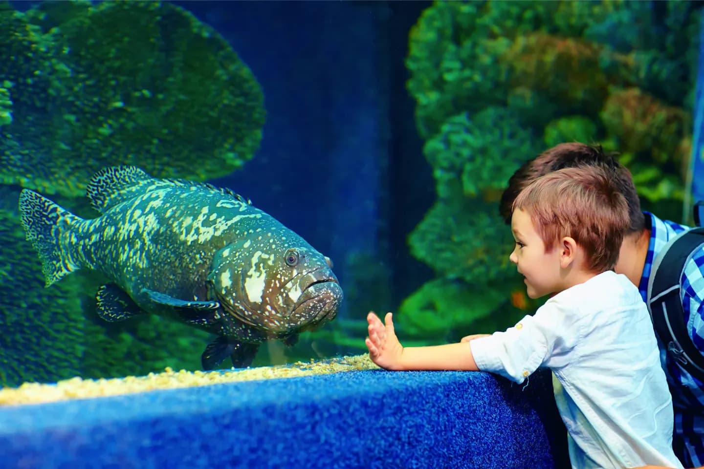 Education and Conservation at Denver Zoo