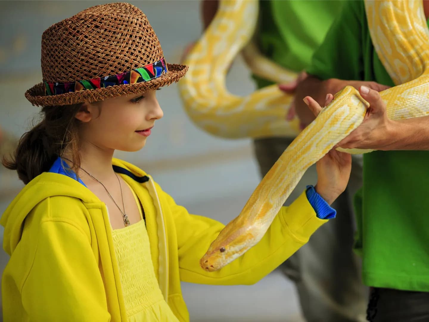 Education and Conservation at Denver Zoo · 2