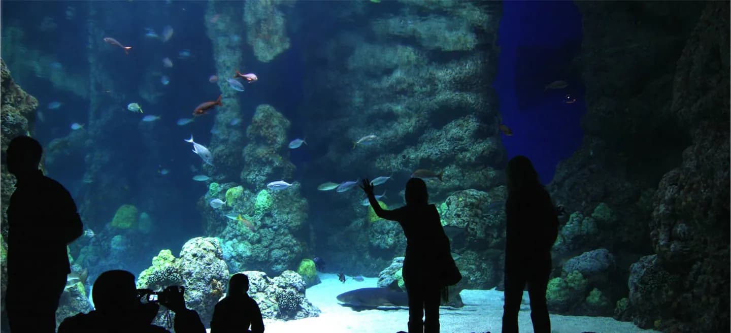 丹佛市中心水族馆 · 2