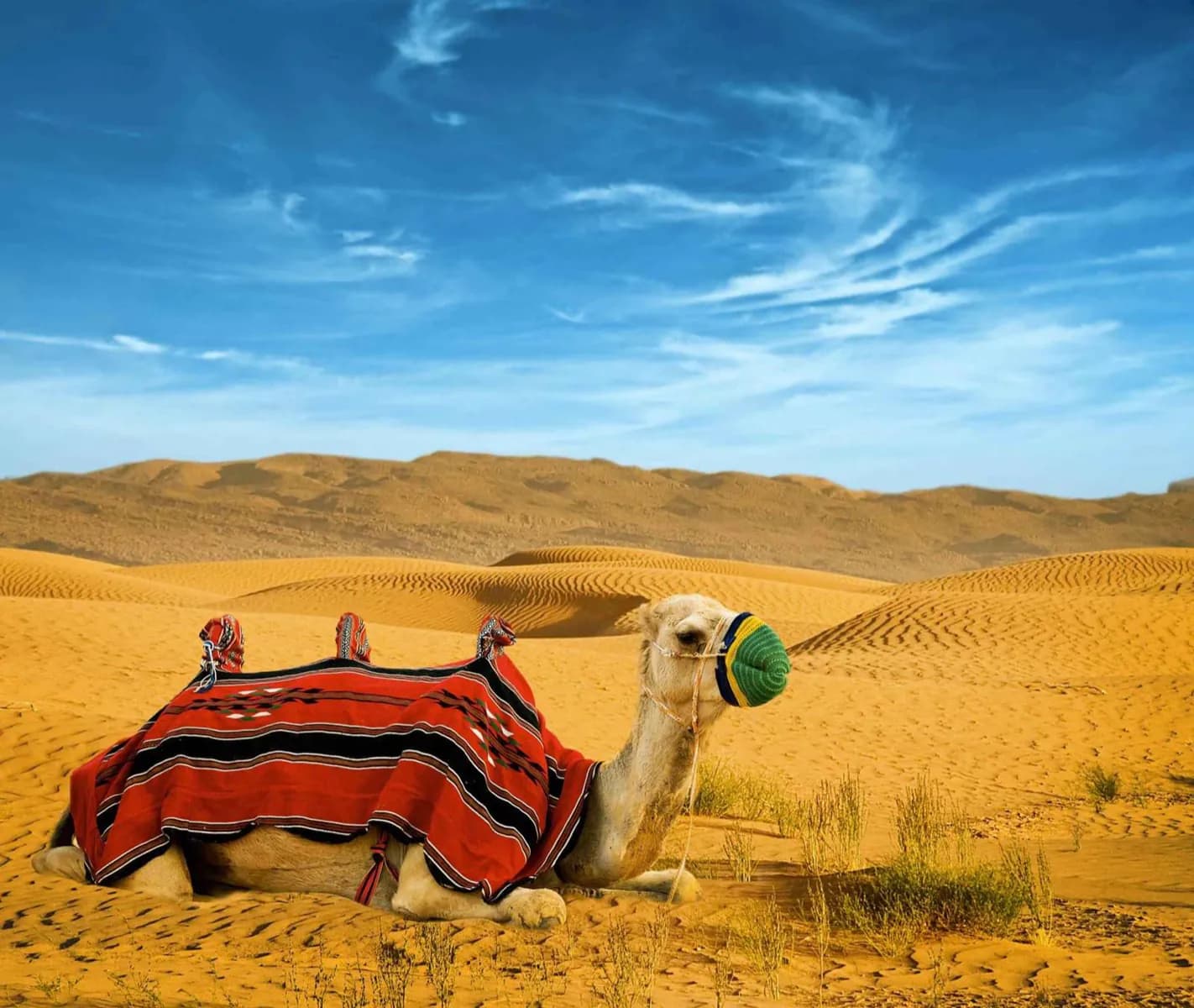 Dubai Climate