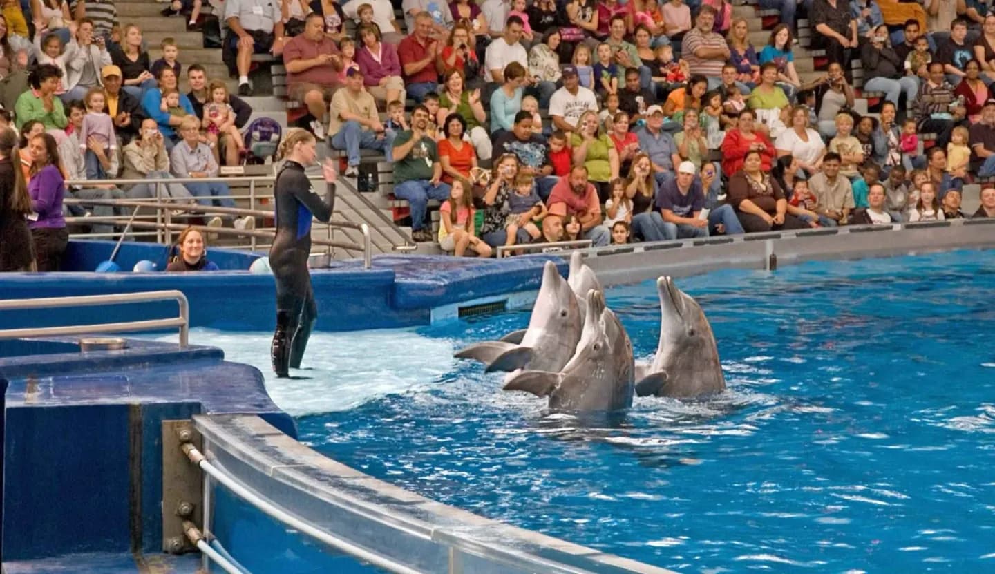 Dolphinarium de Dubaï