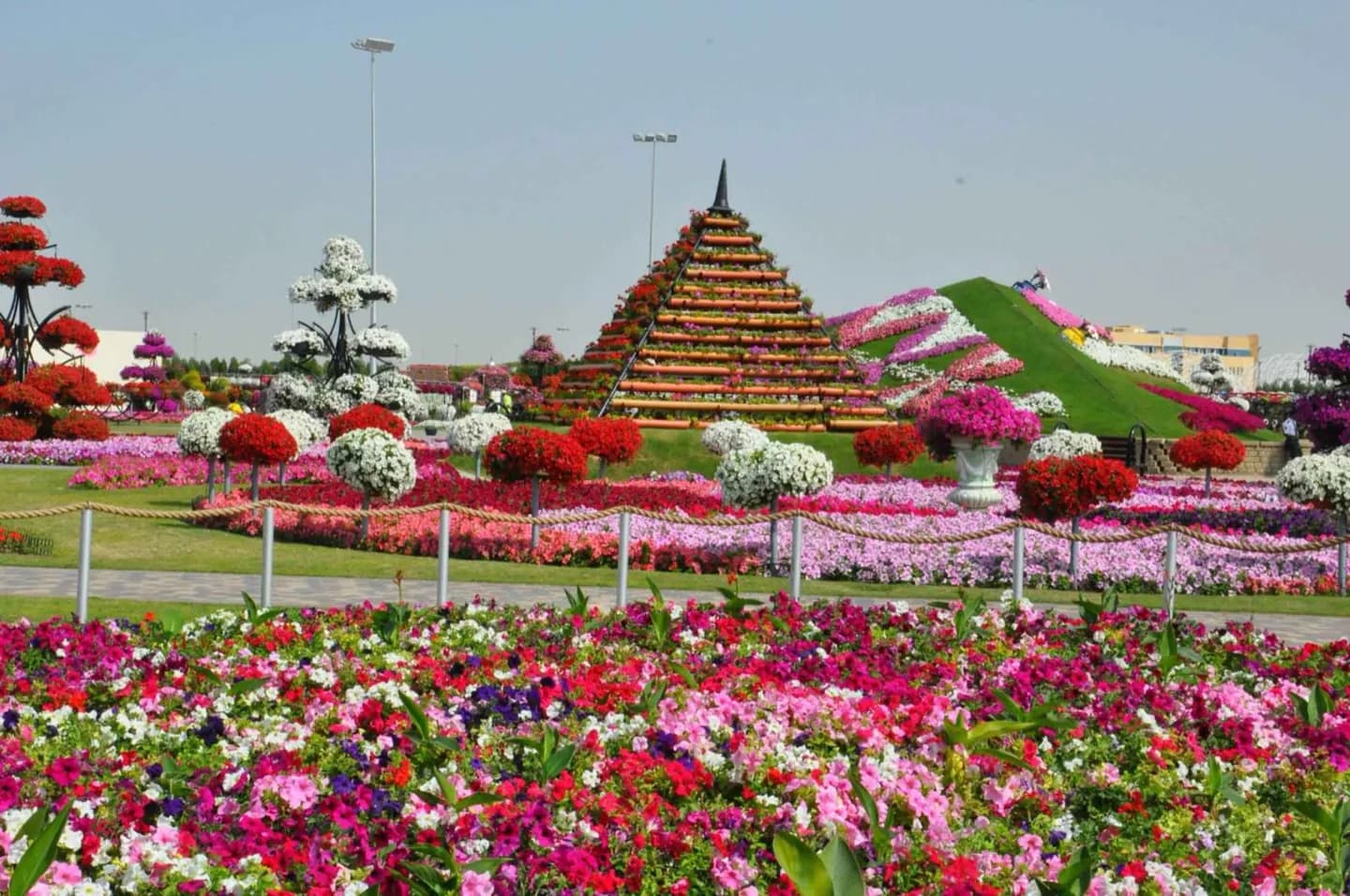 Jardin Miracle De Dubaï