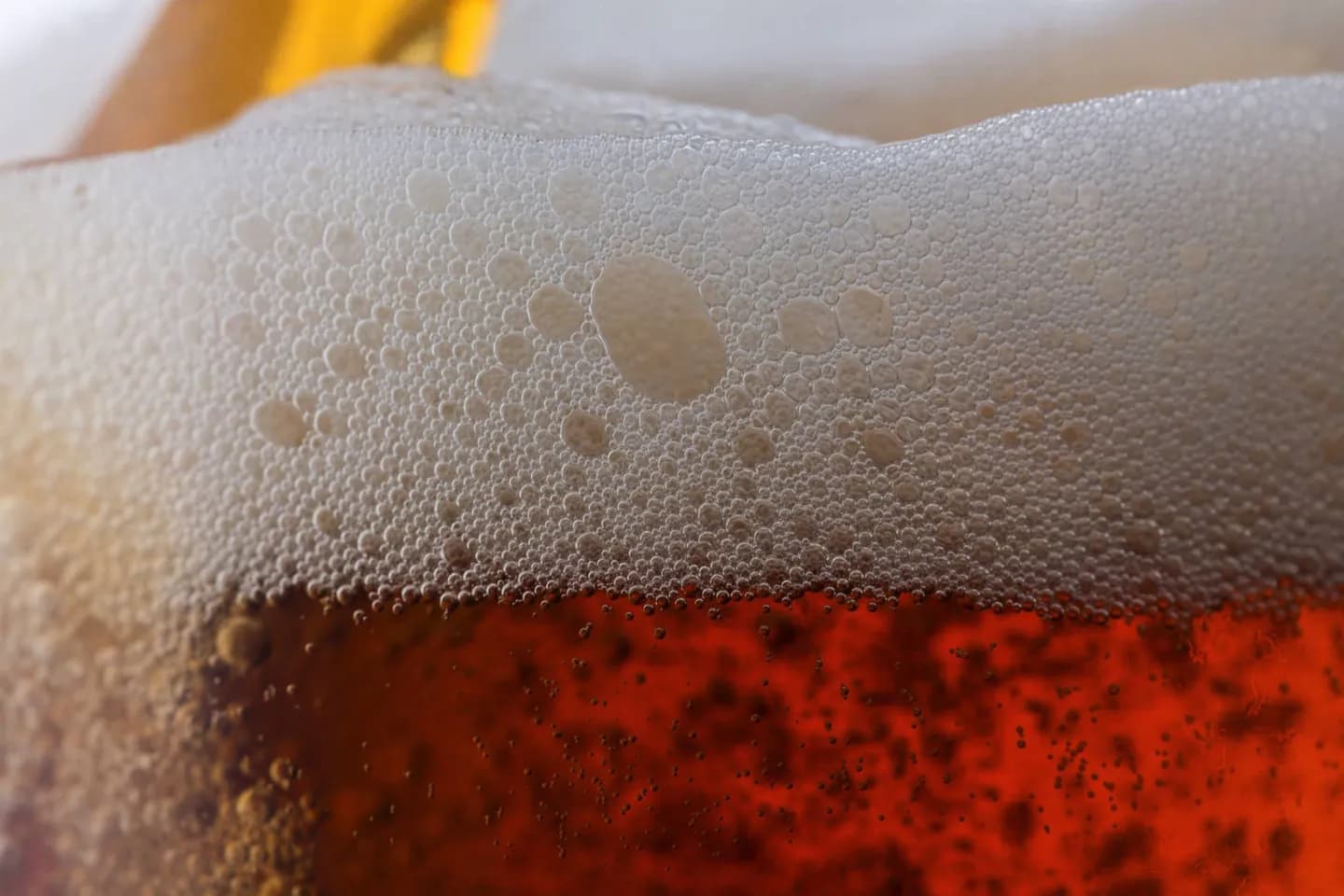 Düsseldorf Altbier verstehen