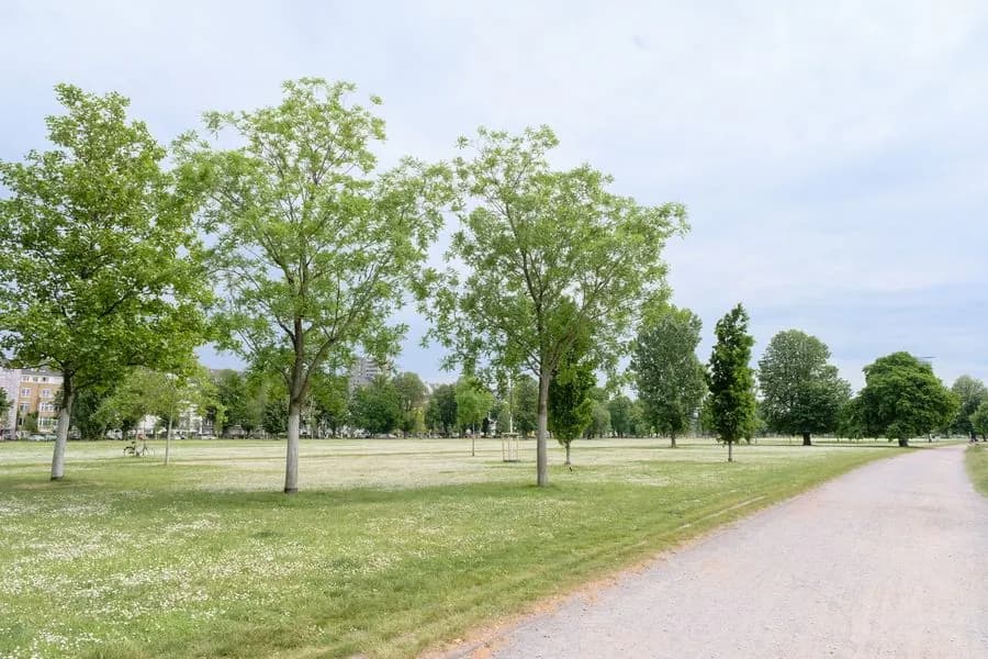 Rheinpark Golzheim
