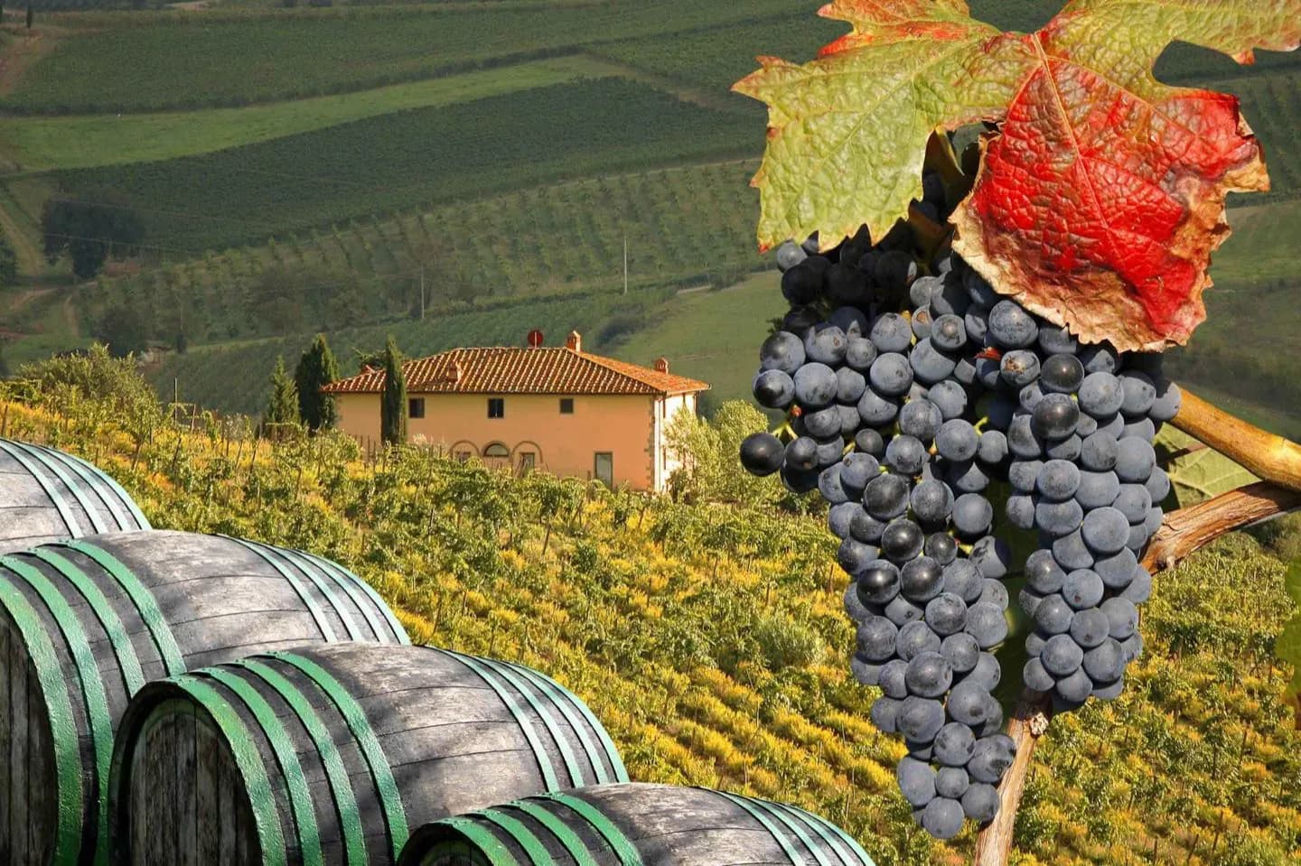 Paese del vino del Chianti