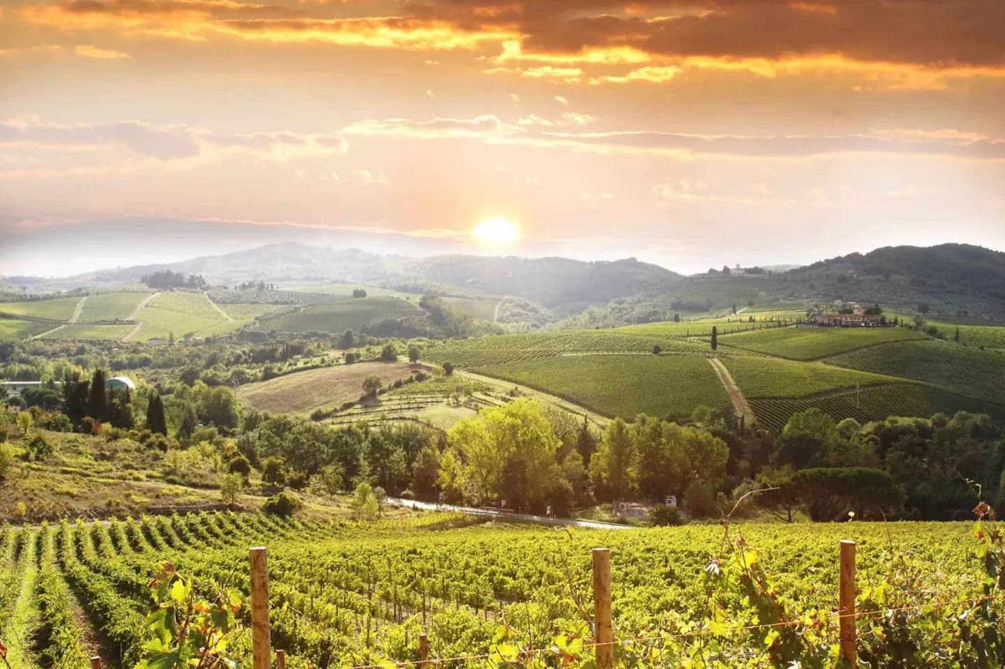 Paese del vino del Chianti · 2