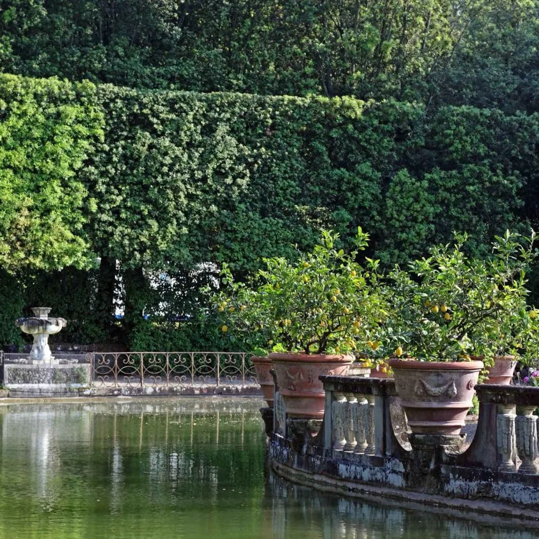 Giardini di Boboli · 2