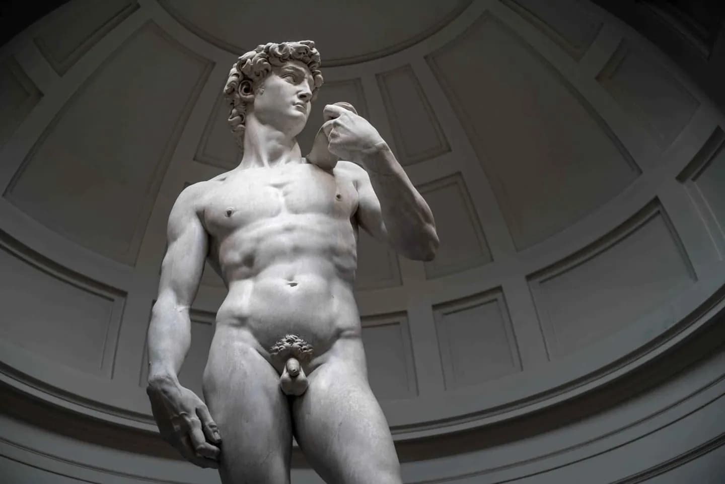 David · 2