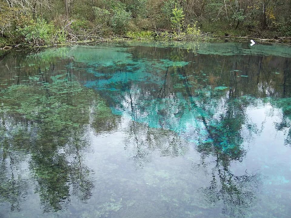 Parco statale di Ichetucknee Springs