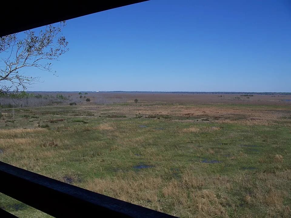 Paynes Prairie Preserve State Park