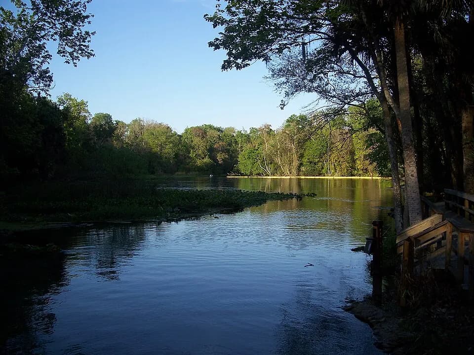 Parque Estatal Wekiwa Springs