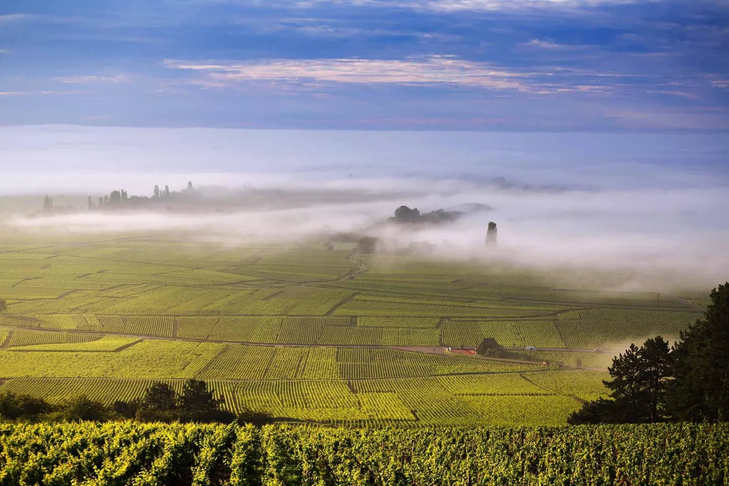 Food and Farming Across France