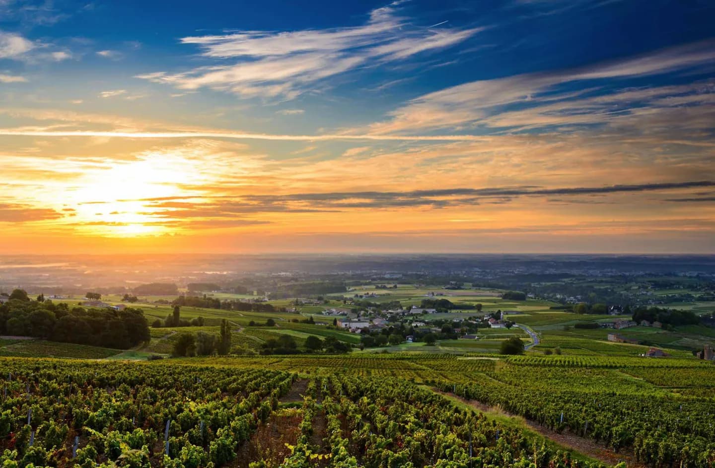 Food and Farming Across France · 2