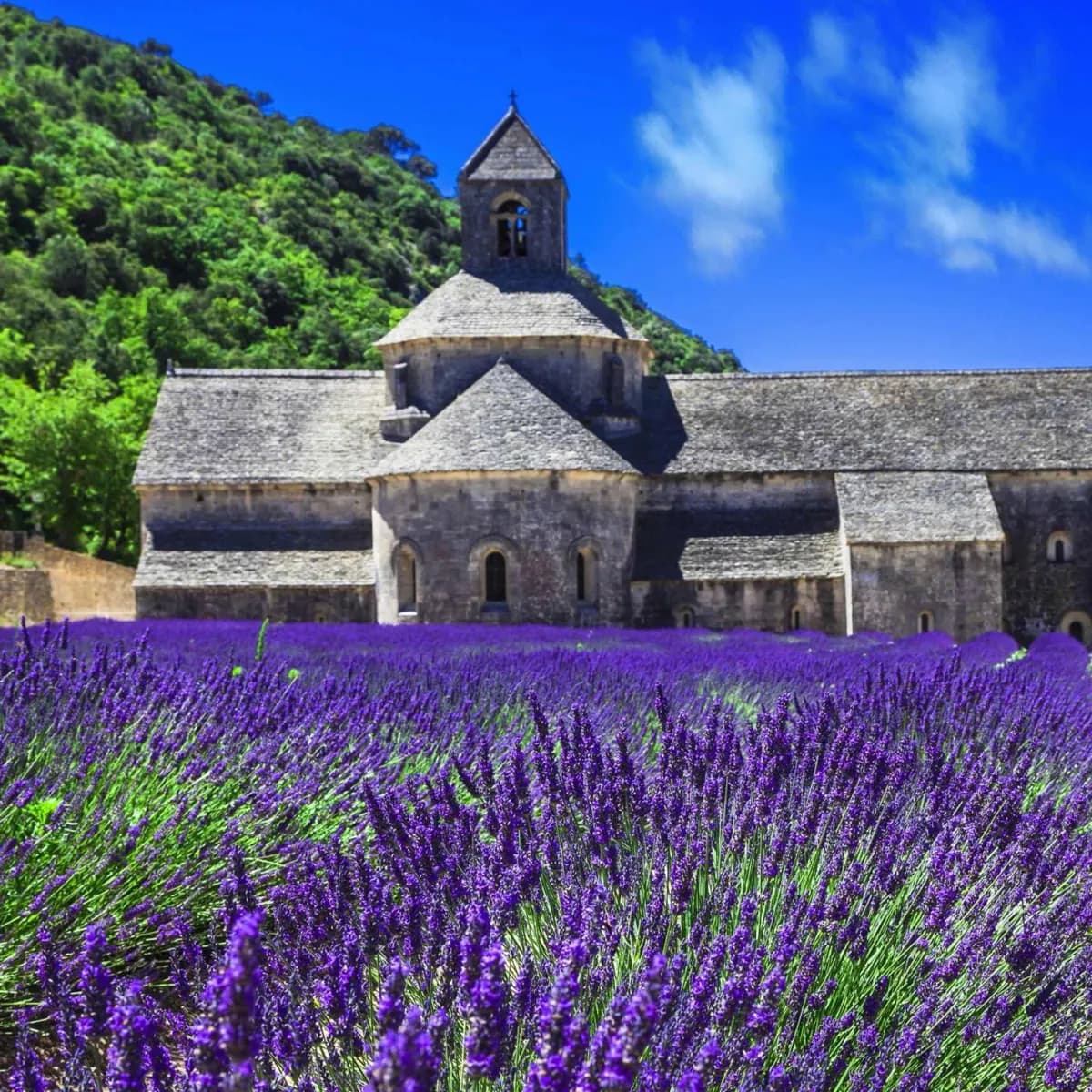 Provence