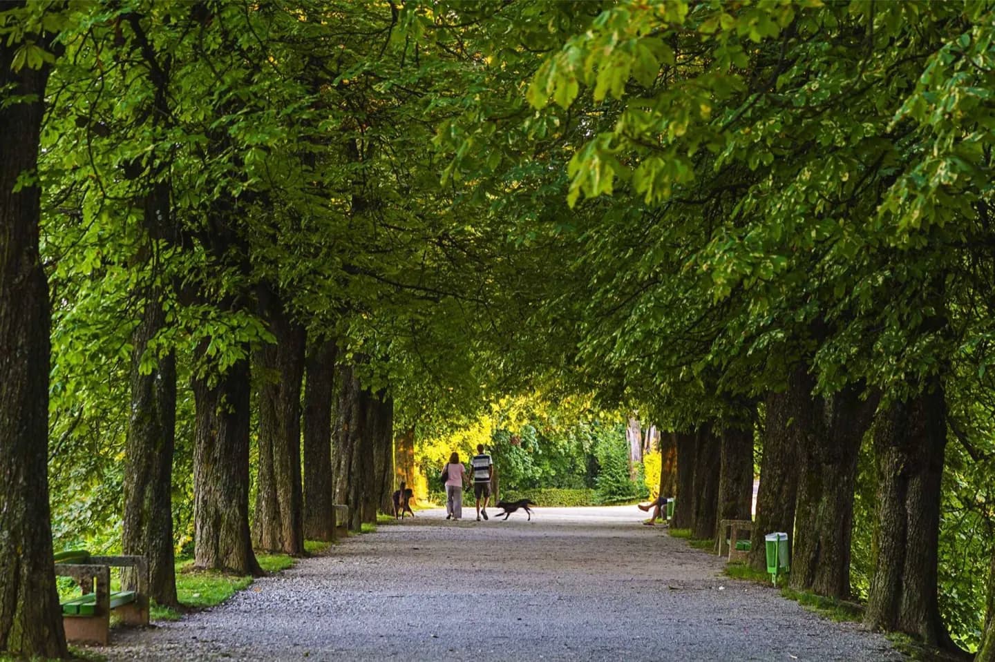 Parque Grüneburg