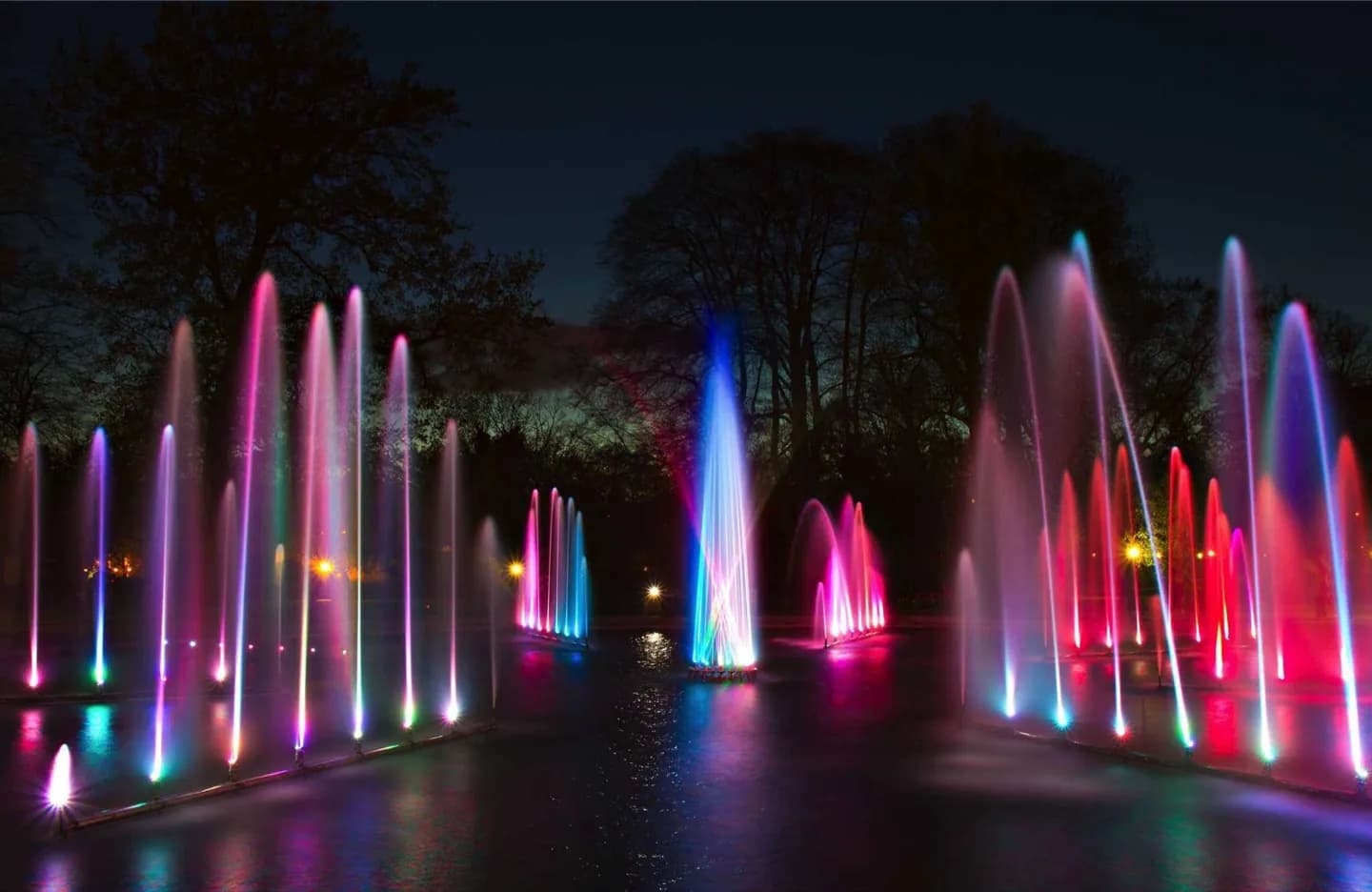Palmengarten
