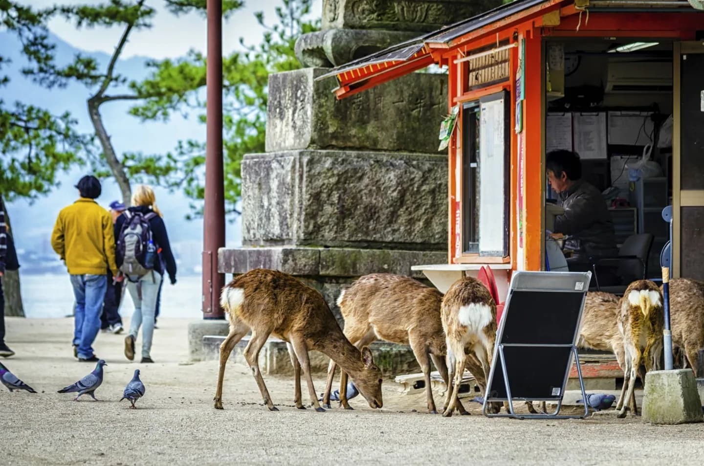 Higashi-ku (東区) · 2