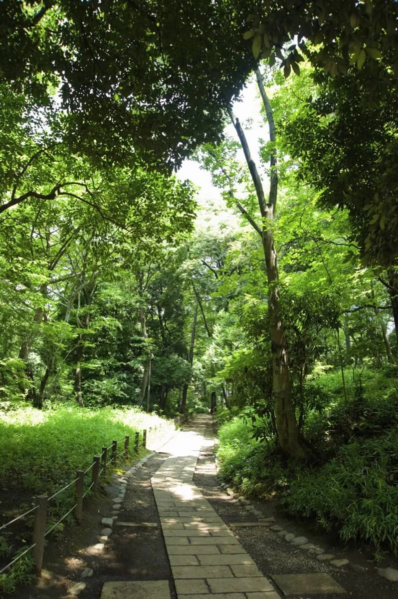Minami-ku (南区)