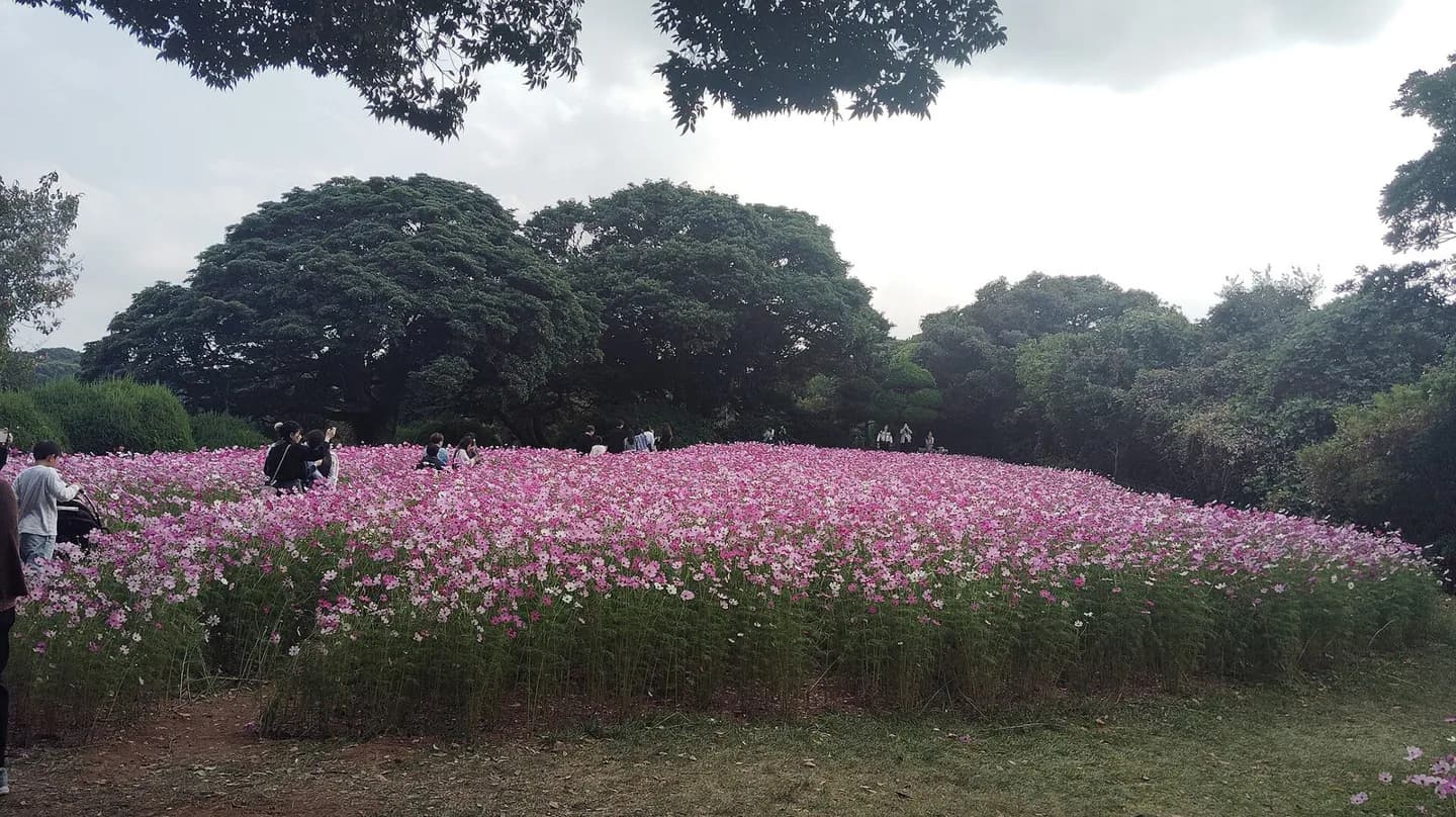 野古島島公園