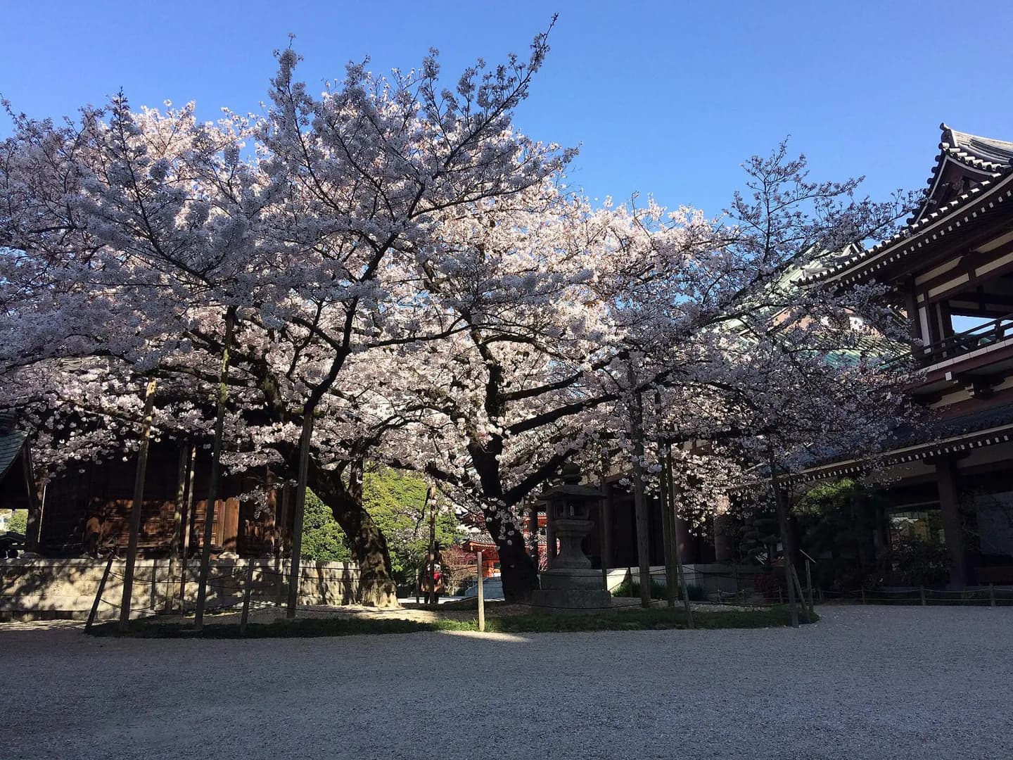 Tōchō-ji Tempel
