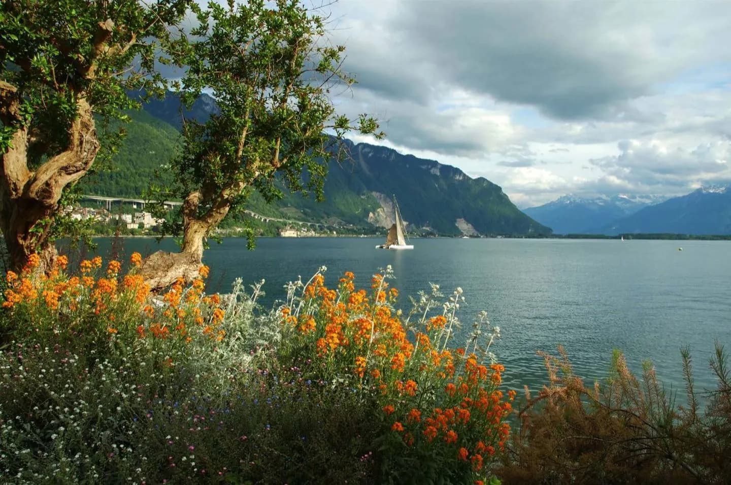 Lago Genebra · 2