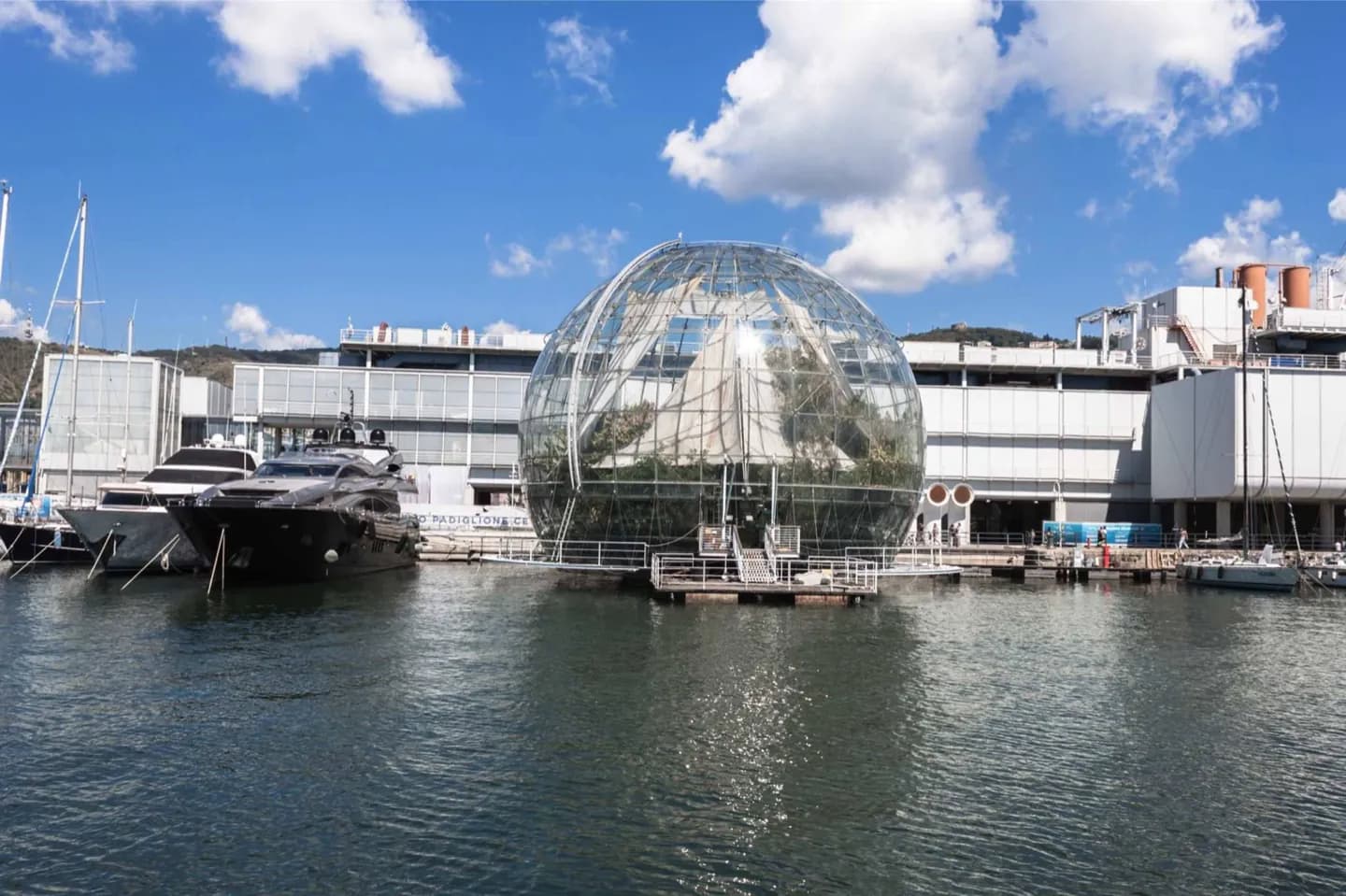 Aquarium of Genoa