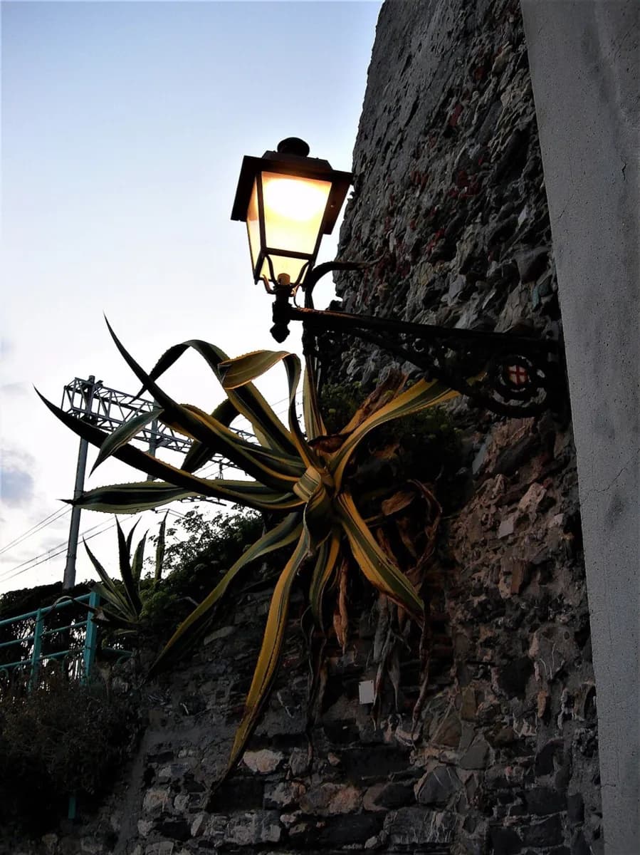 Parks of Nervi