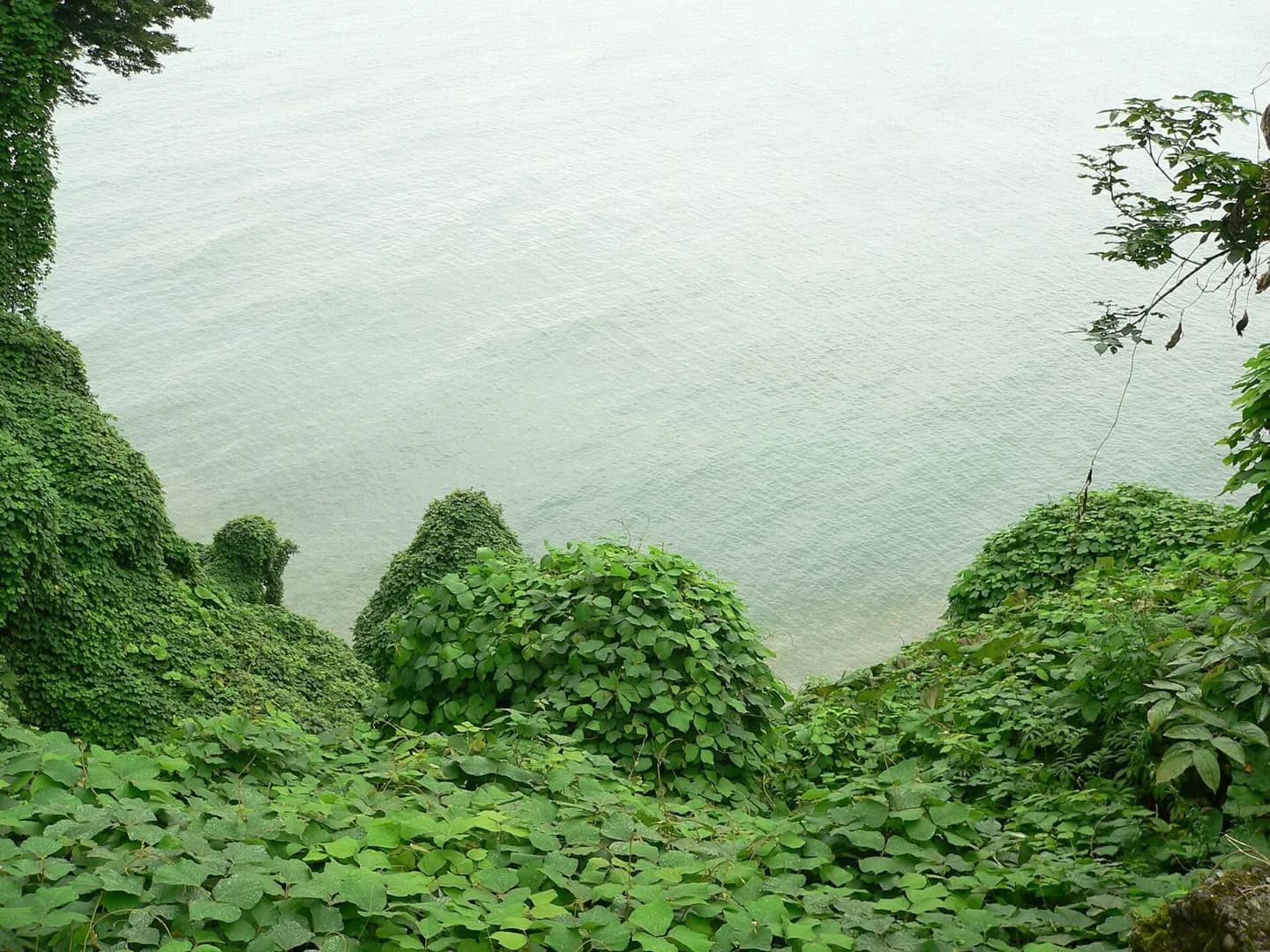 Batumi Botanical Garden