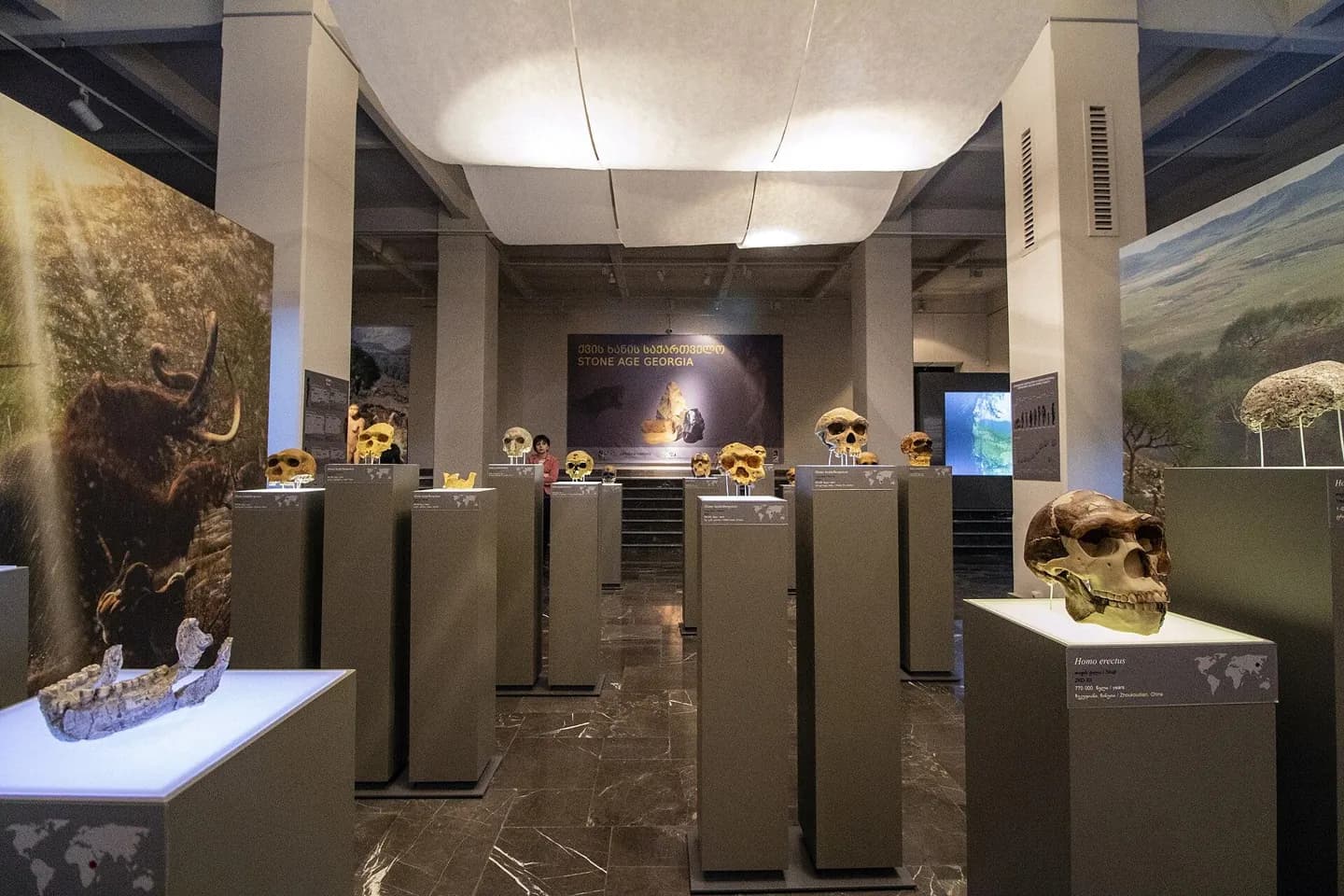 Georgisches Nationalmuseum