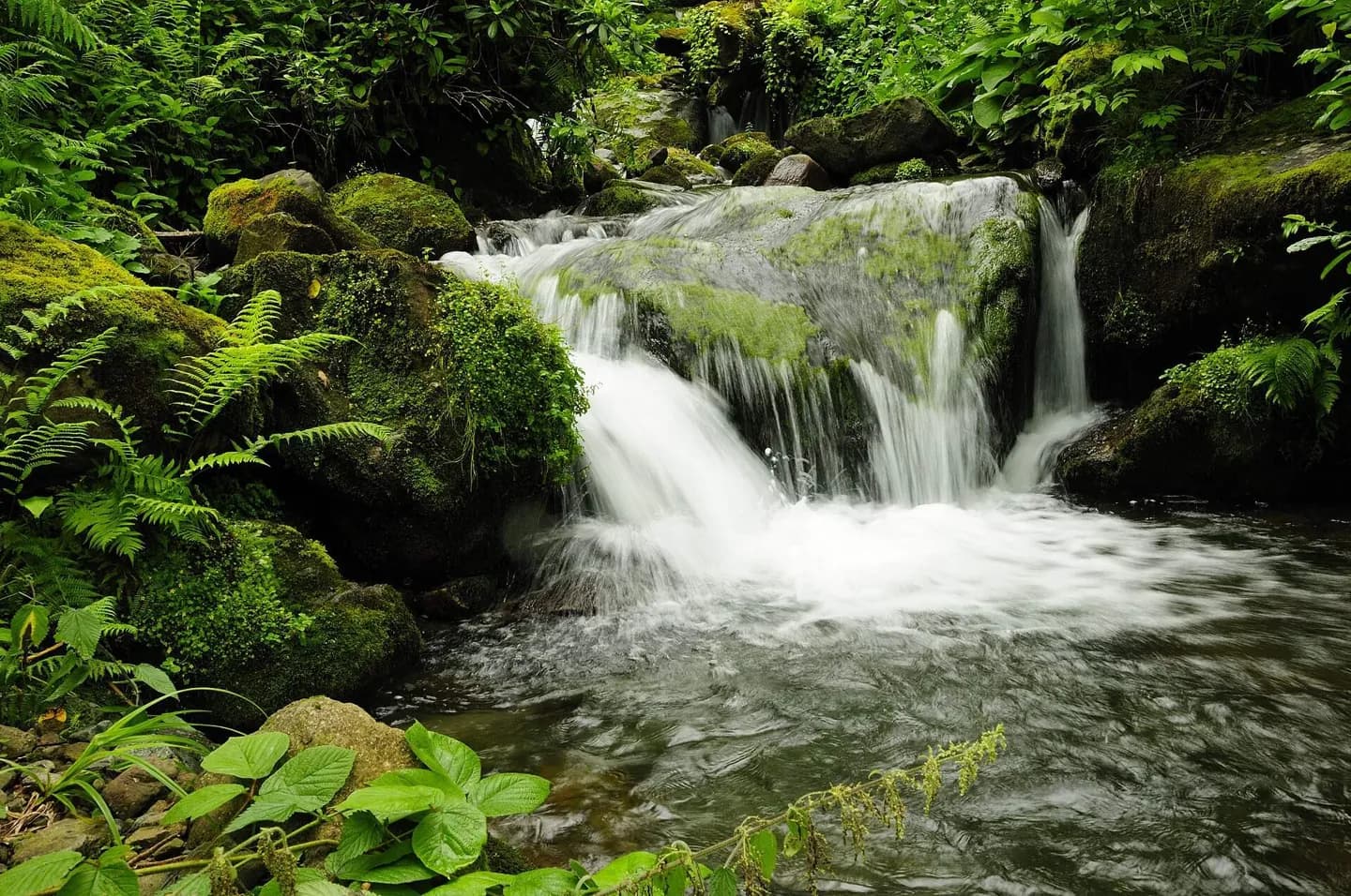 Parc national de Mtirala