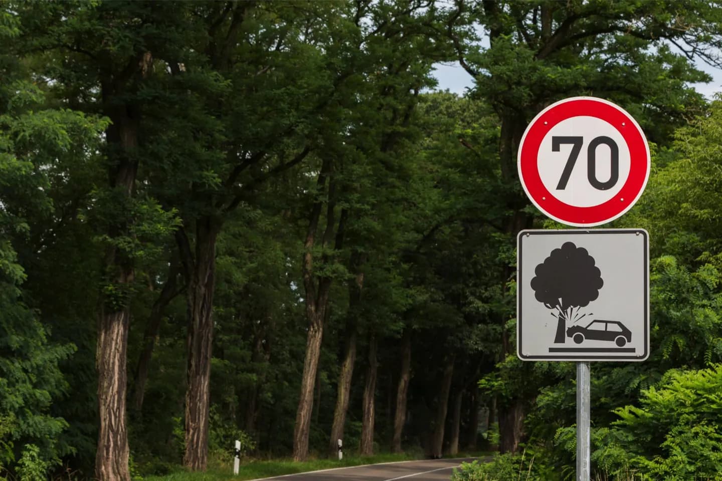 Carretera de la Avenida Alemana · 2