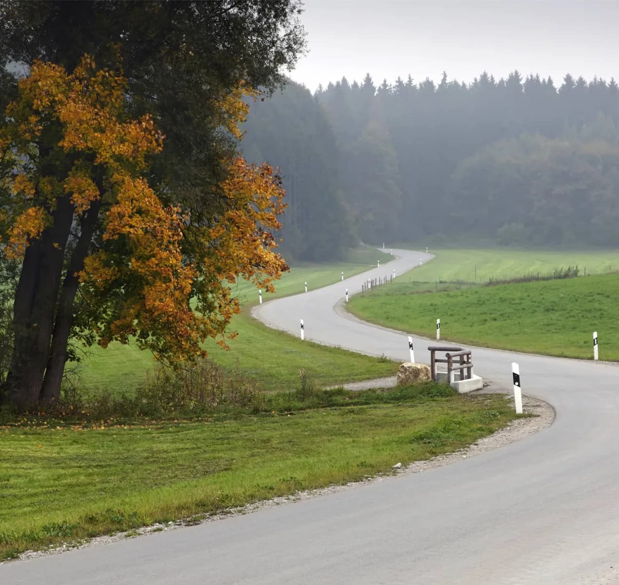 Black Forest High Road