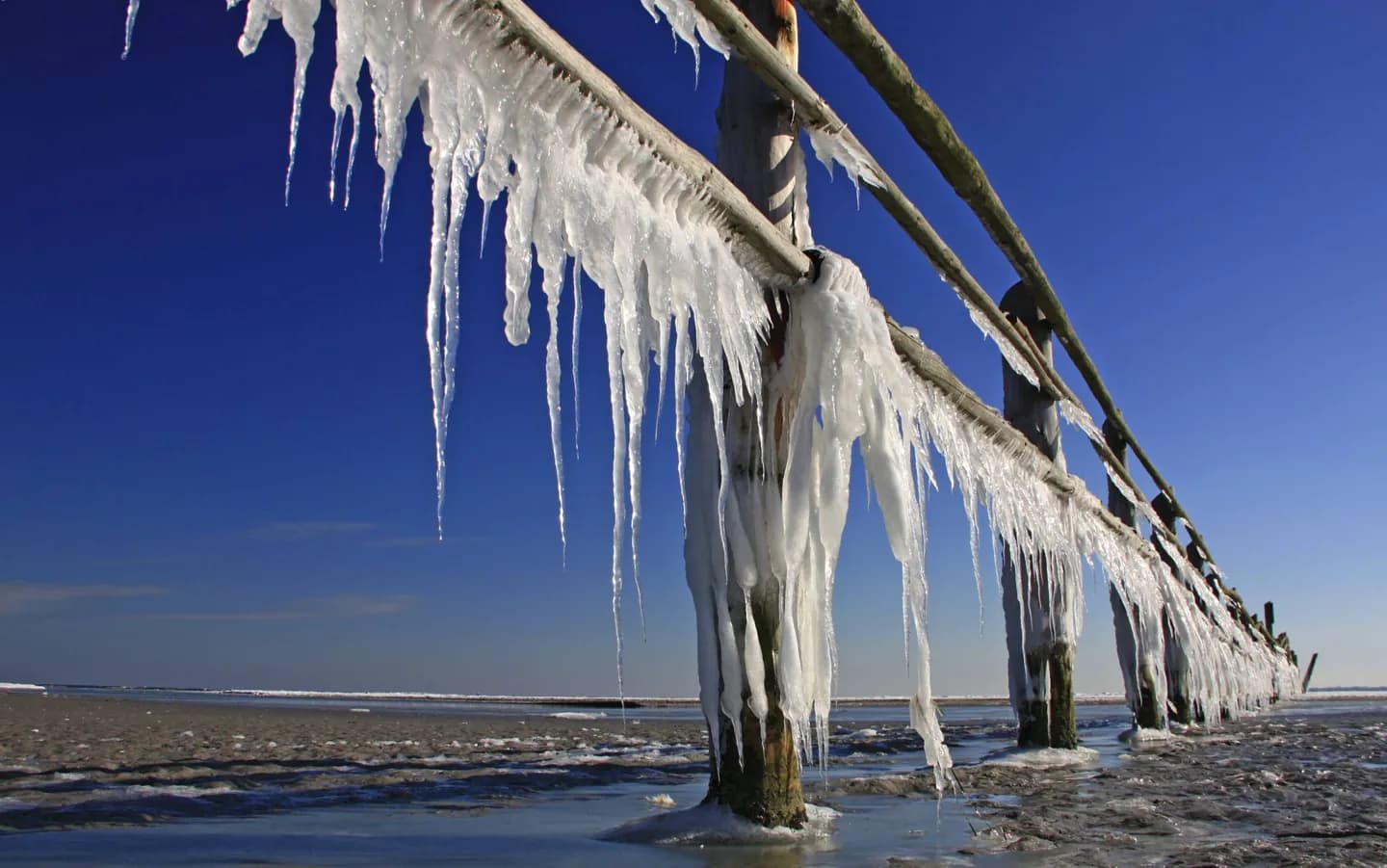 Western Pomerania Lagoon Area National Park · 2