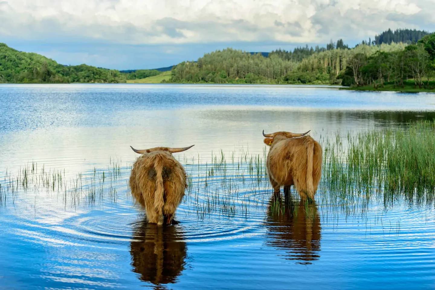 Parc national du Loch Lomond et des Trossachs