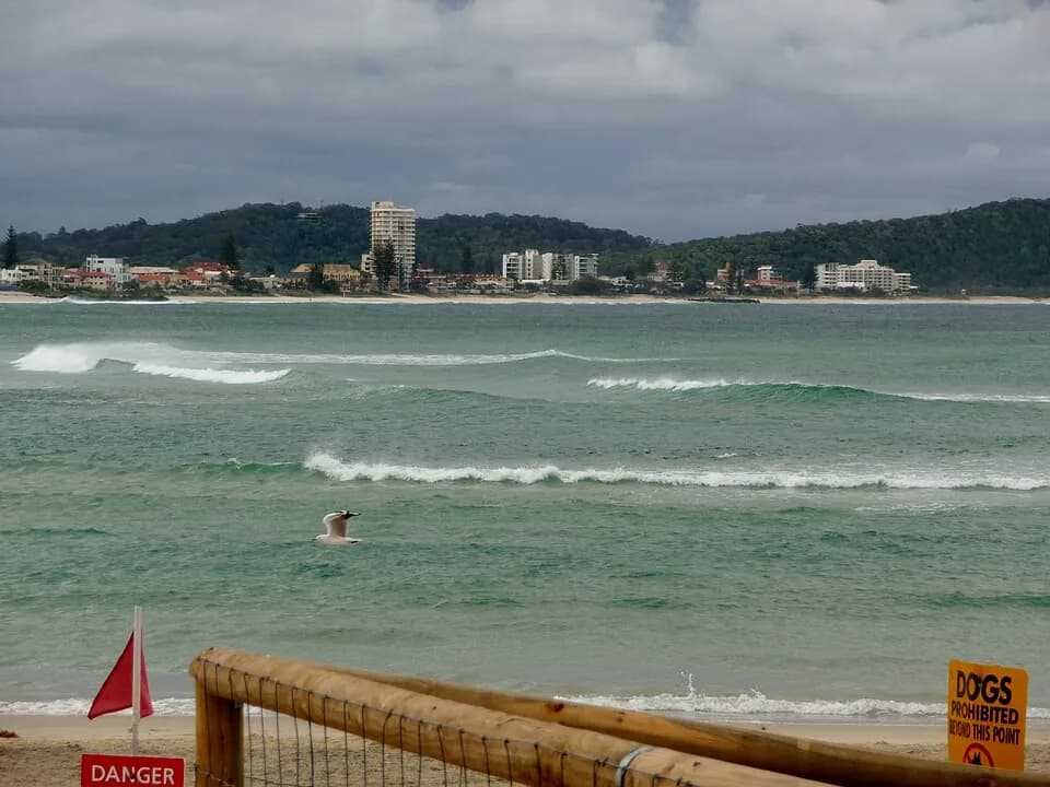 Currumbin Alley