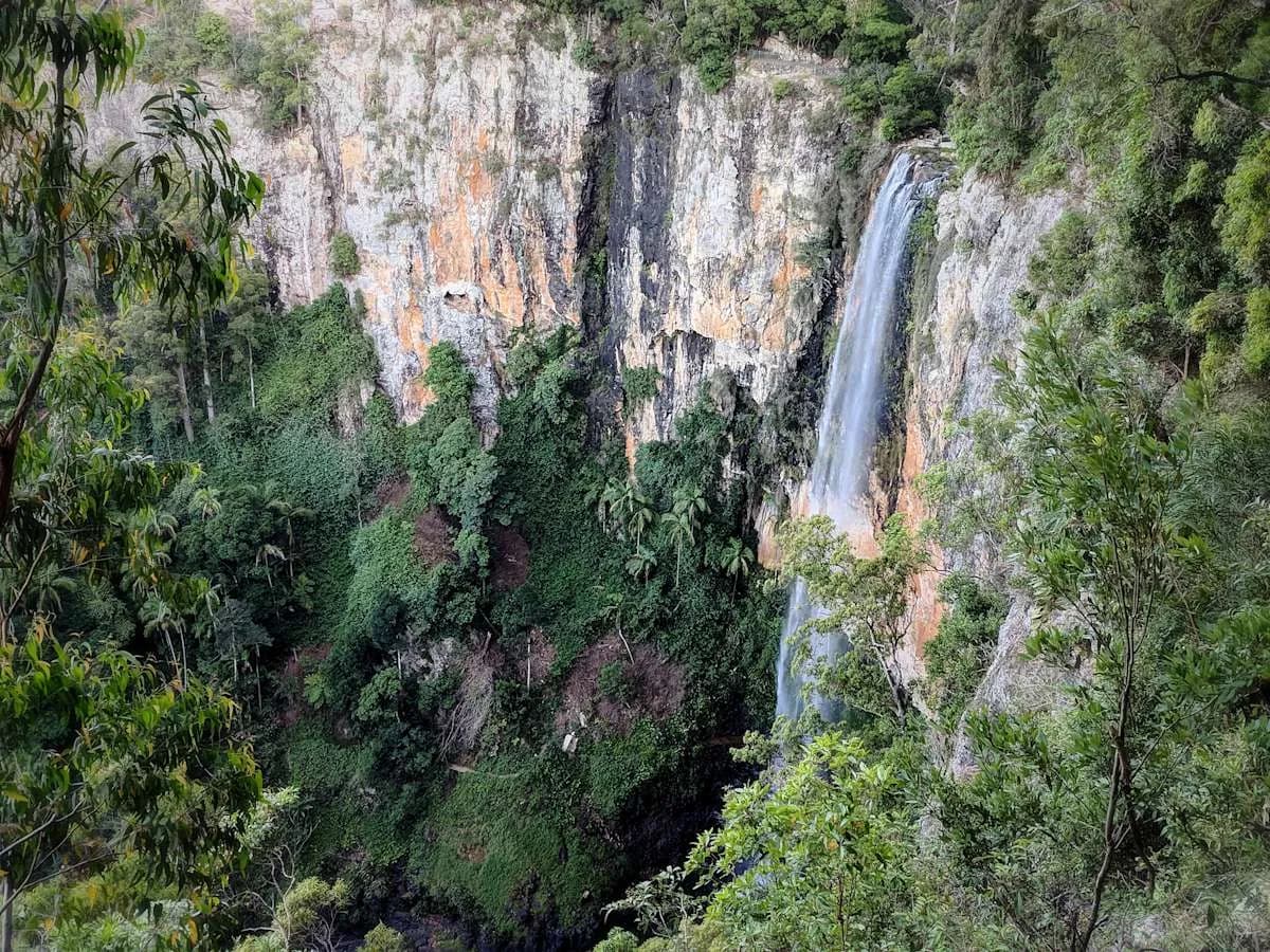 Circuito di Purling Brook Falls