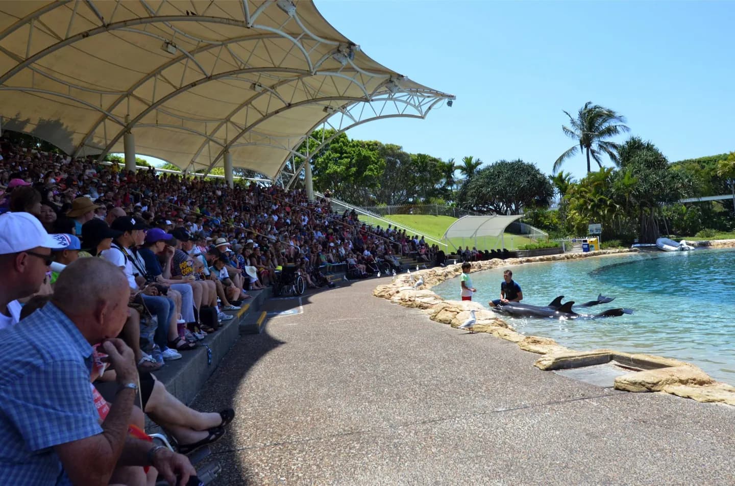 Sea World Gold Coast
