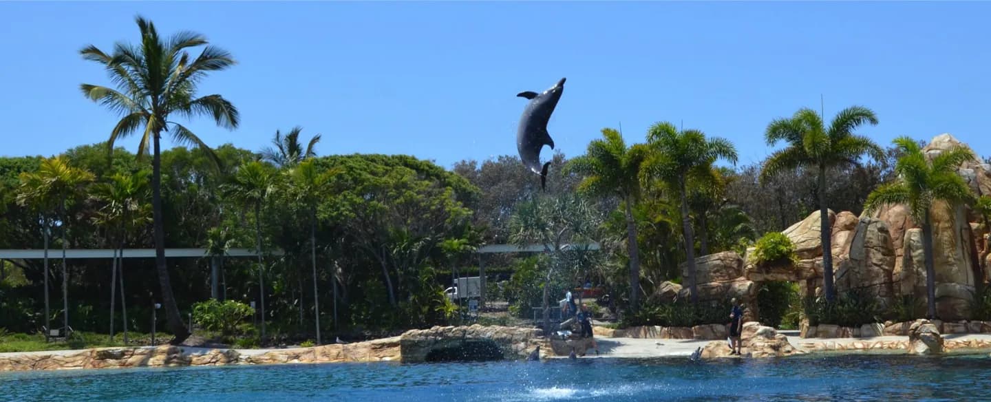 Sea World Gold Coast · 2