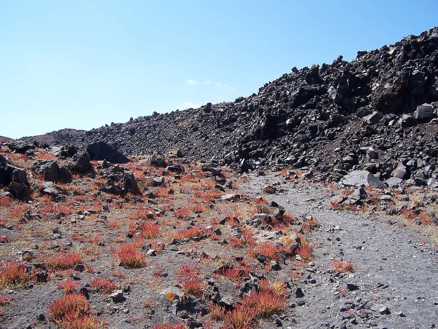 Nea Kameni Volcano