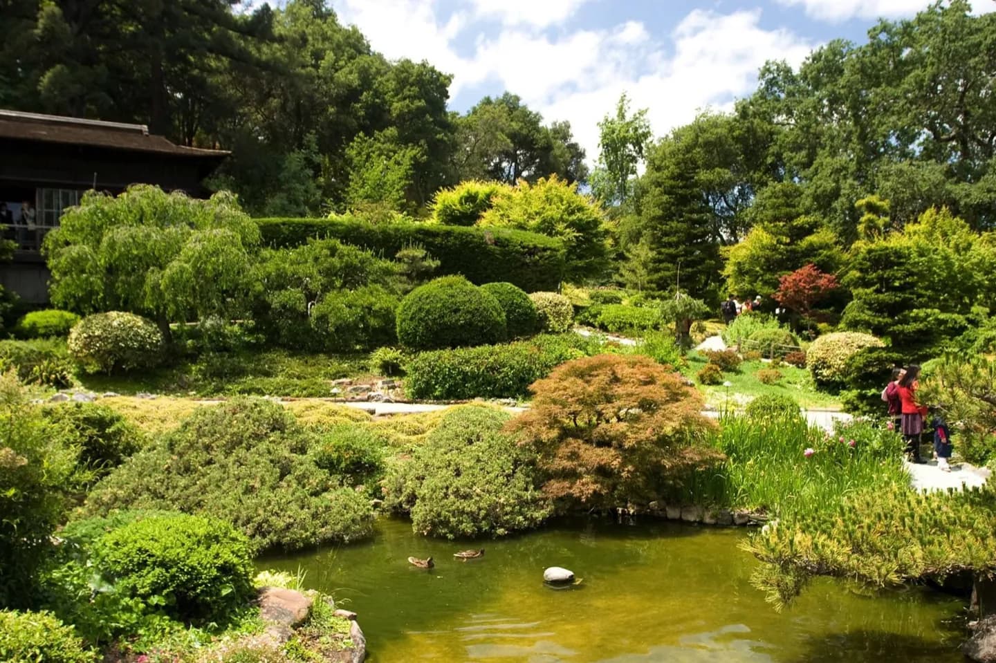 Botanischer Garten der Feuchtgebiete Hakone · 2