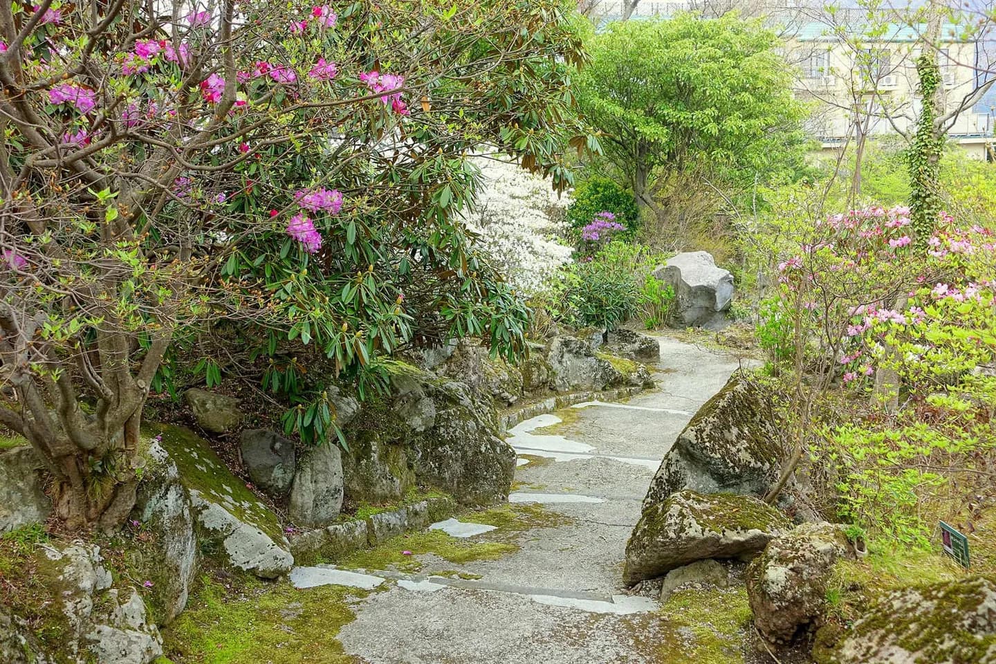 Parc Hakone Gora
